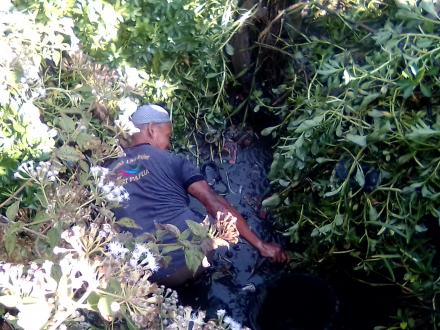 Mencari Ikan Secara Ramah Lingkungan