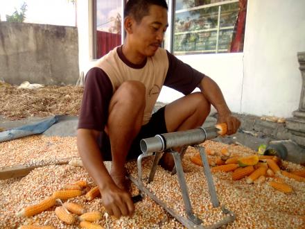 Alat Perontok Jagung Sederhana