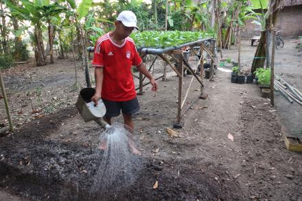 Pemanfaatan Lahan Untuk Berkebun 