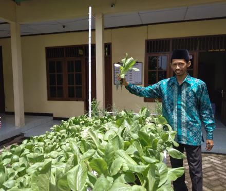 Panen Hasil Pertanian Hidroponik Desa Gadingharjo