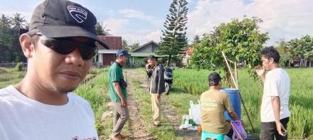 Penyemprotan agen hayati bulak Kalimundu