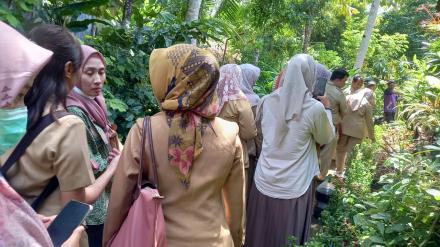 Peninjauan Lokasi dan budidaya