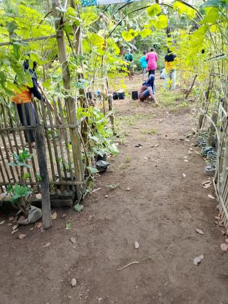 Kerja Bakti di Demplot KWT Mekar Sari Daleman