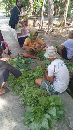 KWT Mekar Sari Daleman panen sayuran 